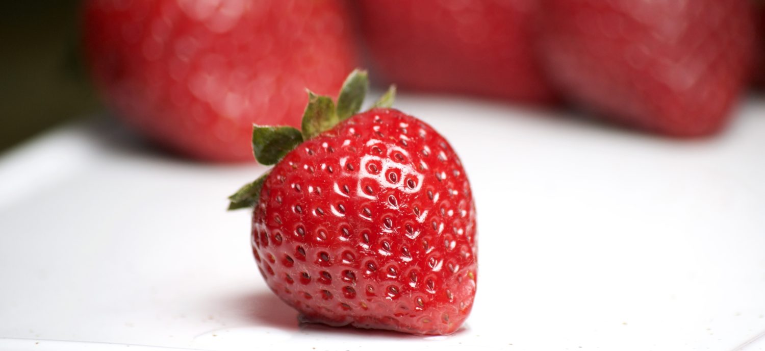 Family • Friends • Fun