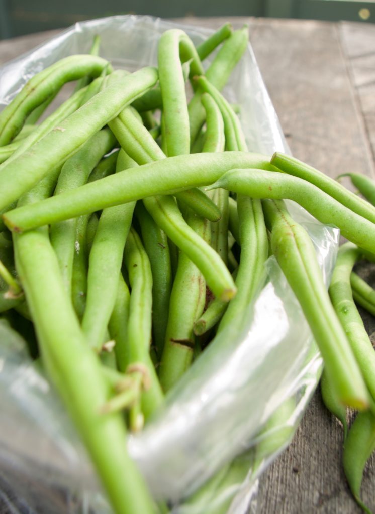 Fresh Green Beans