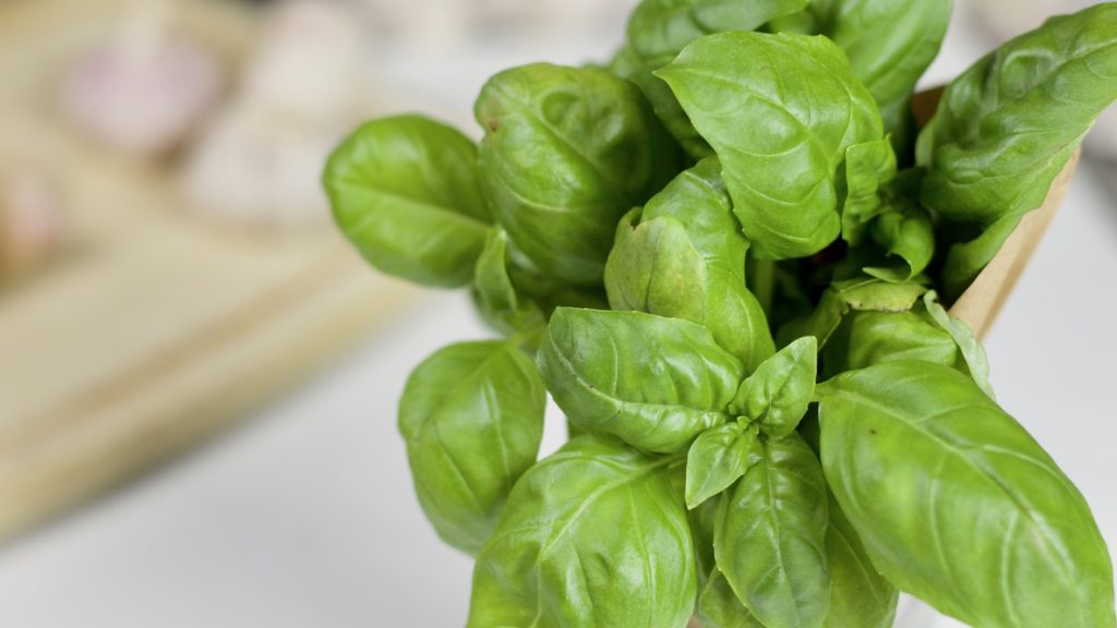 Fresh basil.